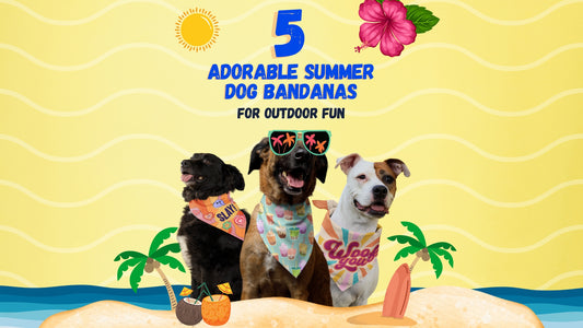 5 Adorable Summer Dog Bandanas For Outdoor Fun