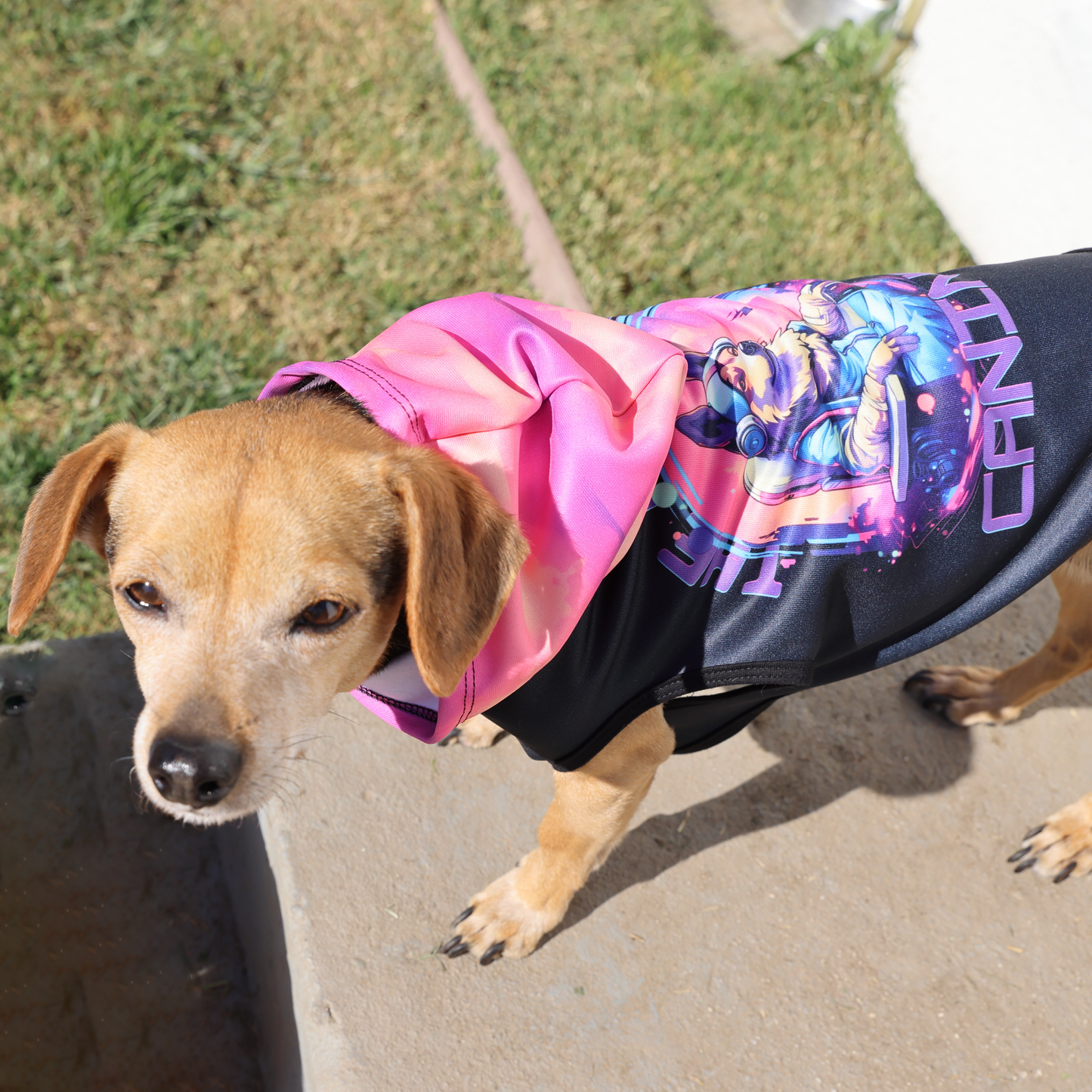 Funny Dog Hoodie
