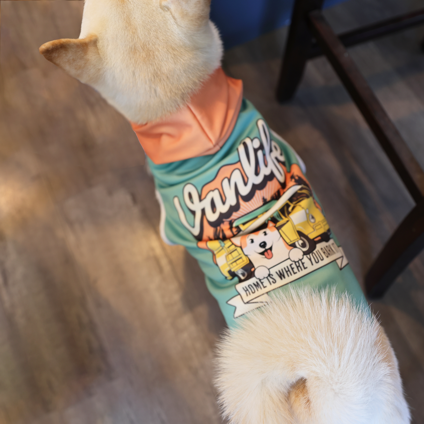 Green Dog Hoodie