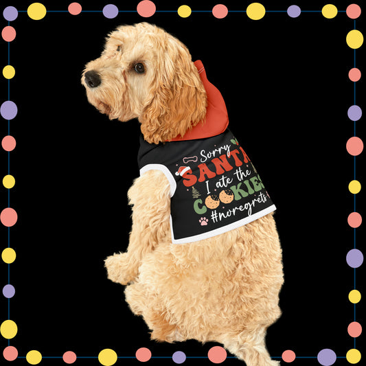 buy SORRY SANTA Xmas Hoodie