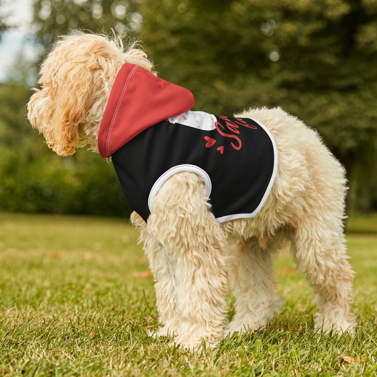 Cute Santa Dog Hoodie