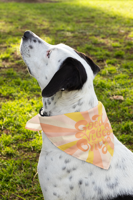 Good vibes only - dog bandana mixed breed