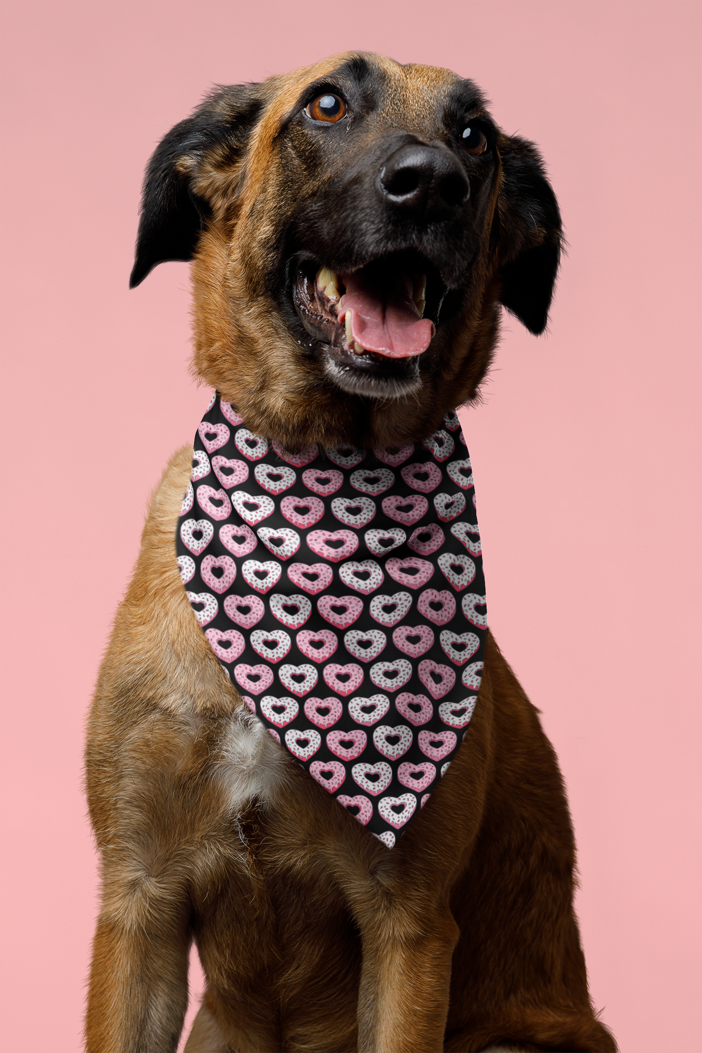 Cool Dog Bandana