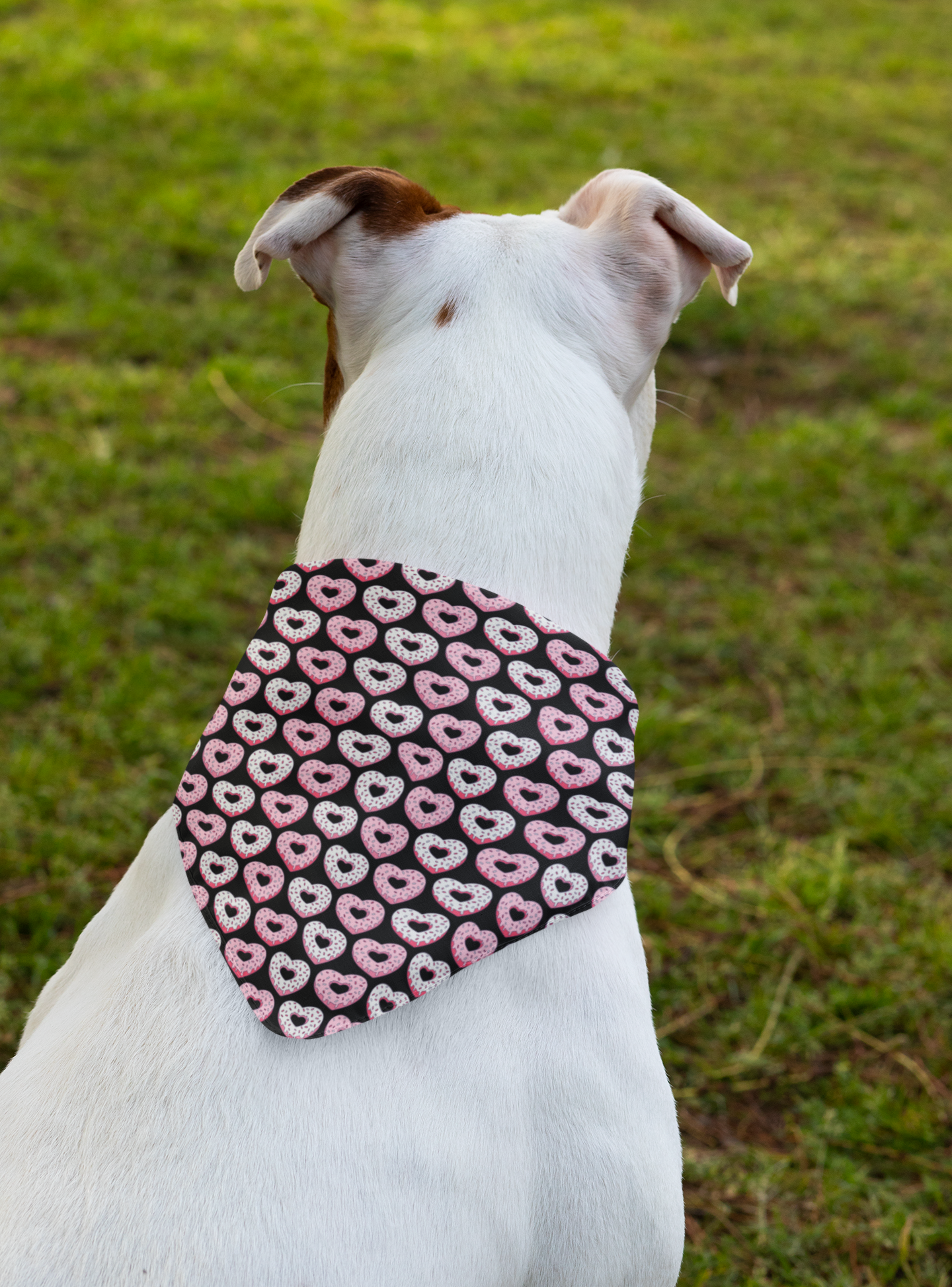 Cute Dog bandana