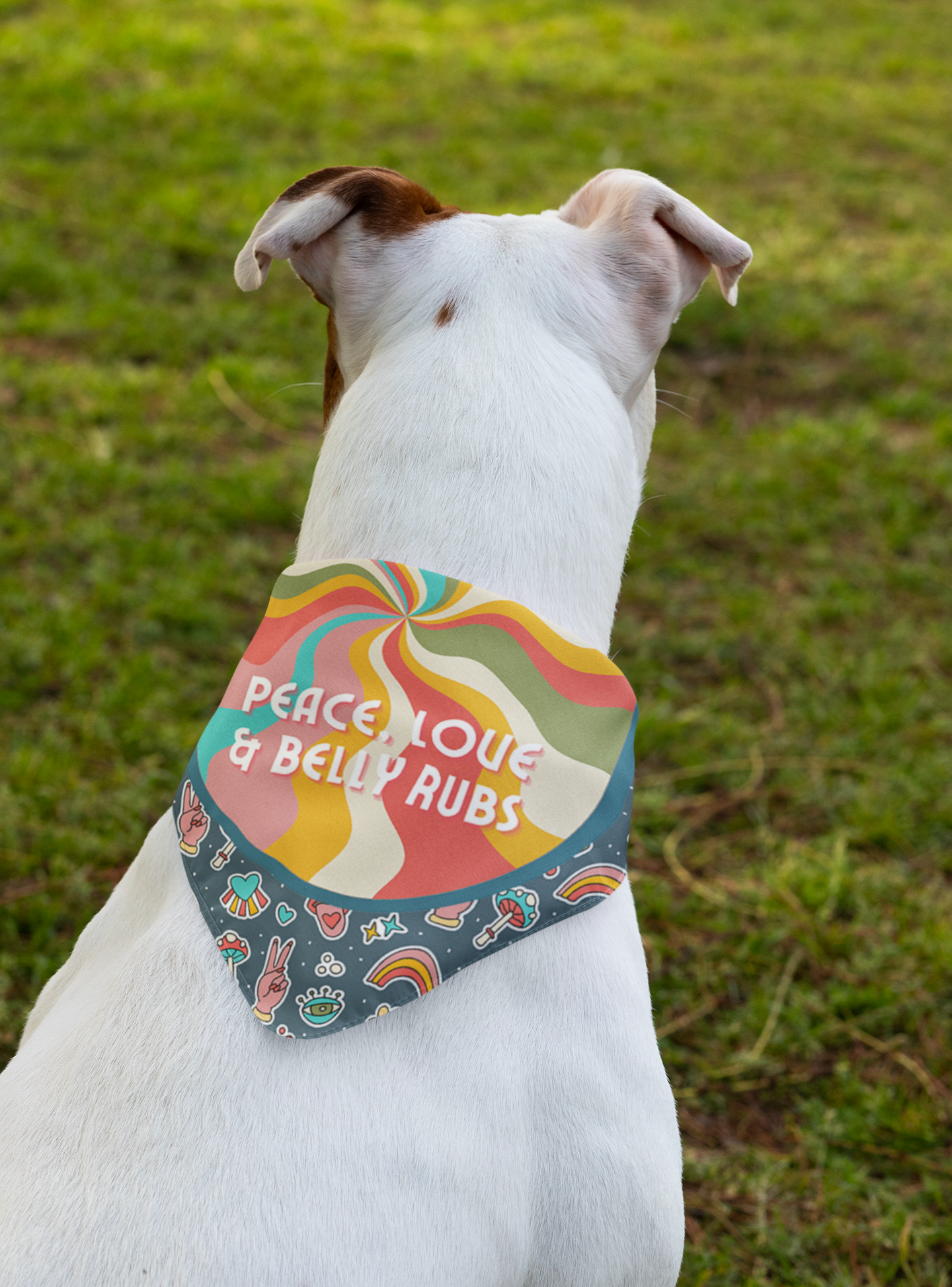 Peace love and belly rubs dog bandana dog photography