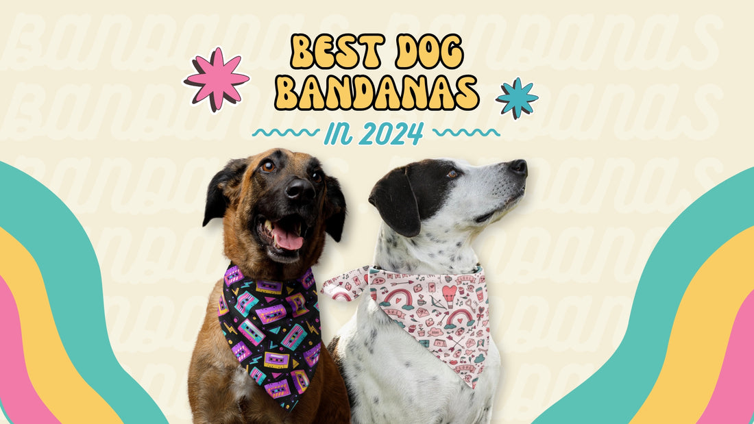 Best Dog Bandanas To Buy In 2024