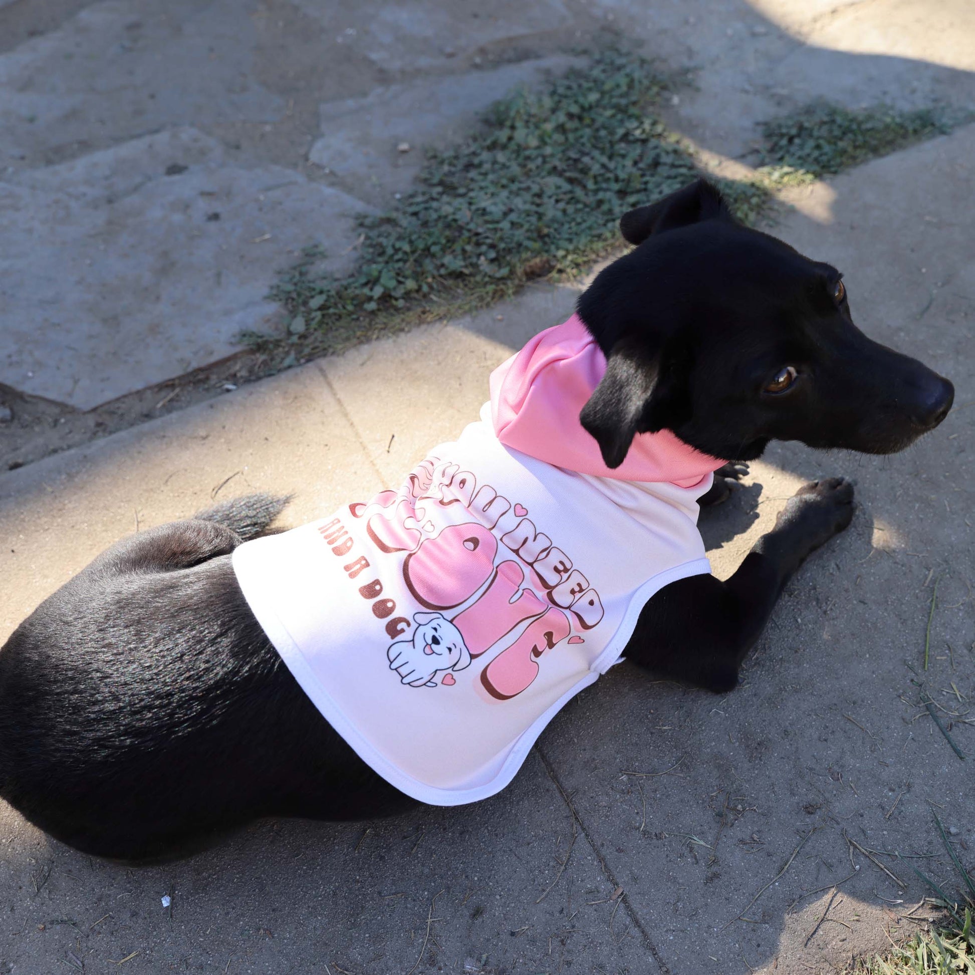 Cool Dog Hoodies