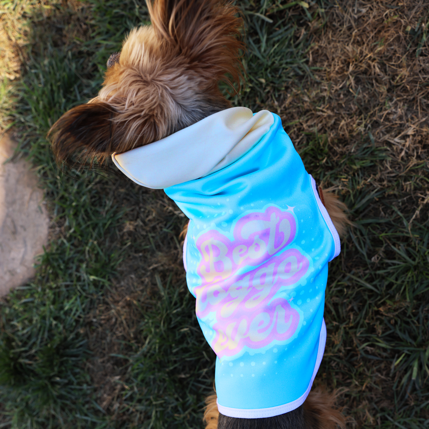 Dog Hoodie Sweatshirt