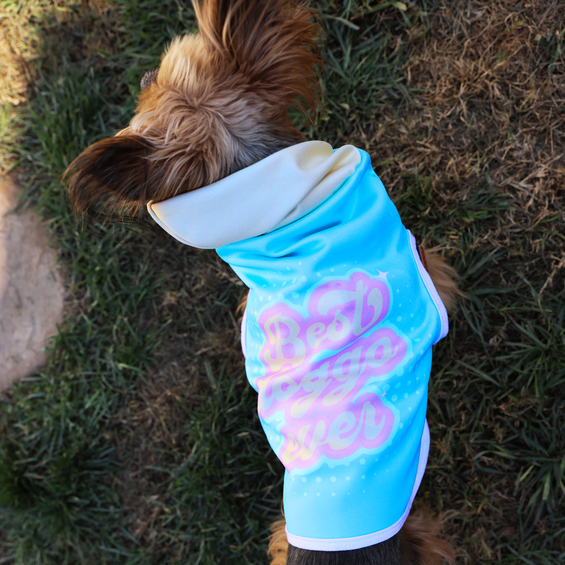 Dog Hoodie Sweatshirt