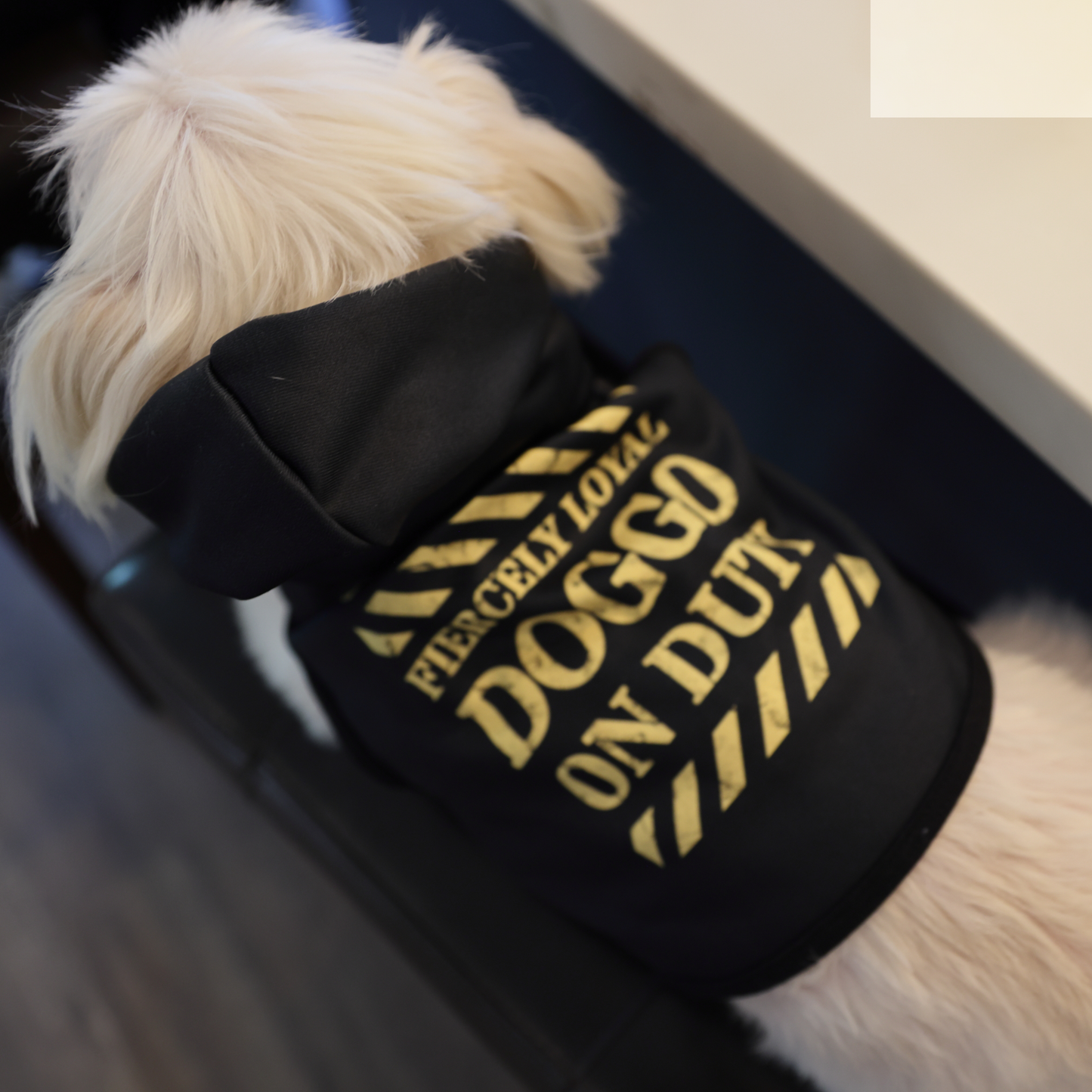 Cute Dog Black SweatShirt