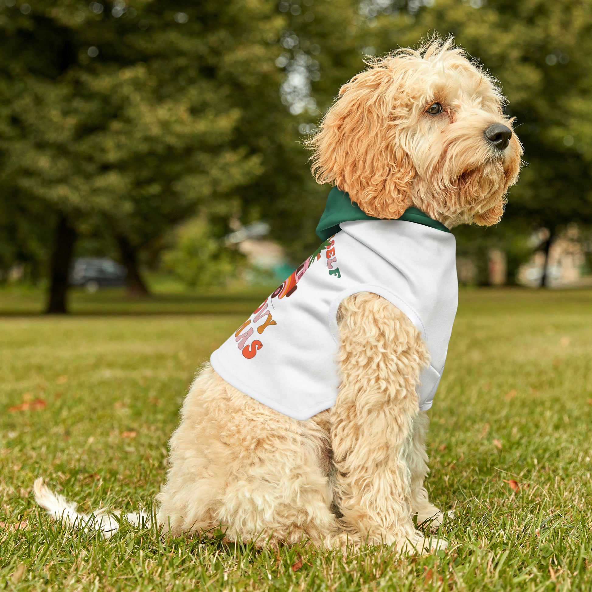 Cool Groovy Christmas Dog Hoodie 