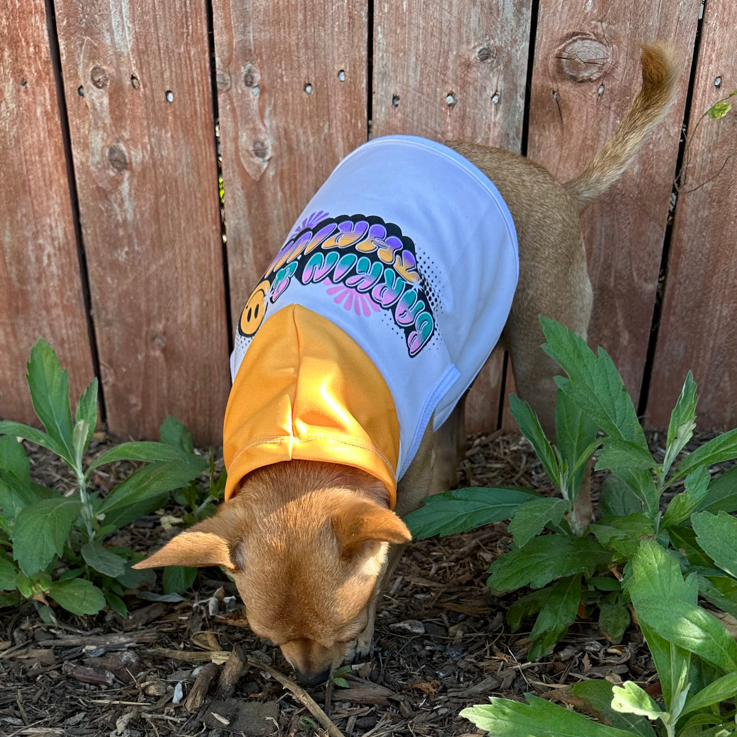 Best Dog Hoodie