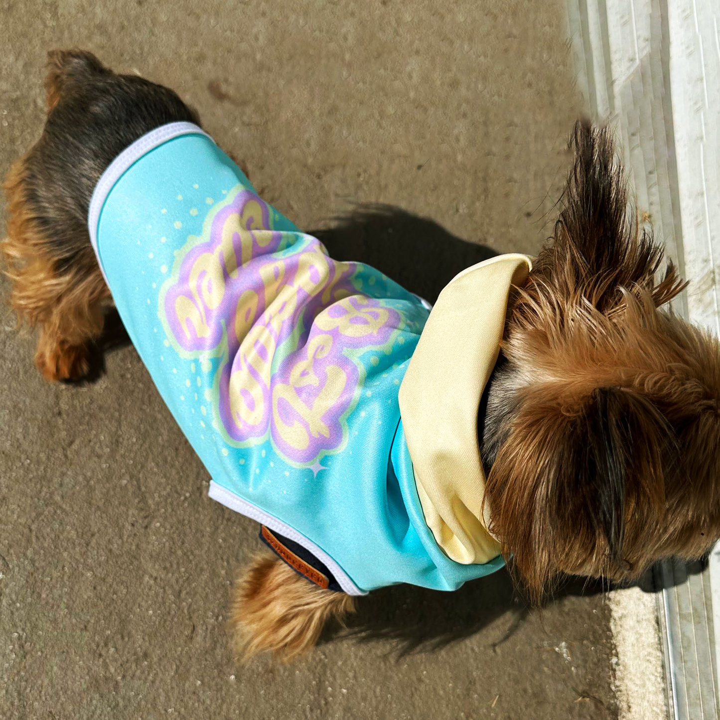 Dog Hoodie Sweatshirt