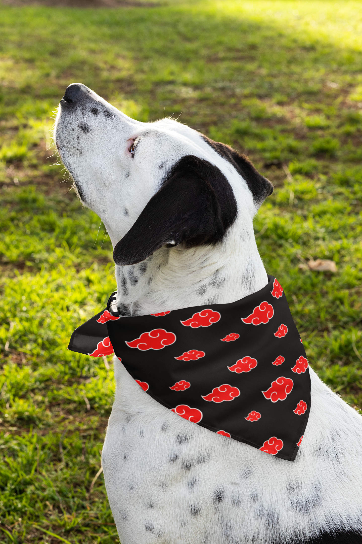 Anime dog bandana mixed breed dog