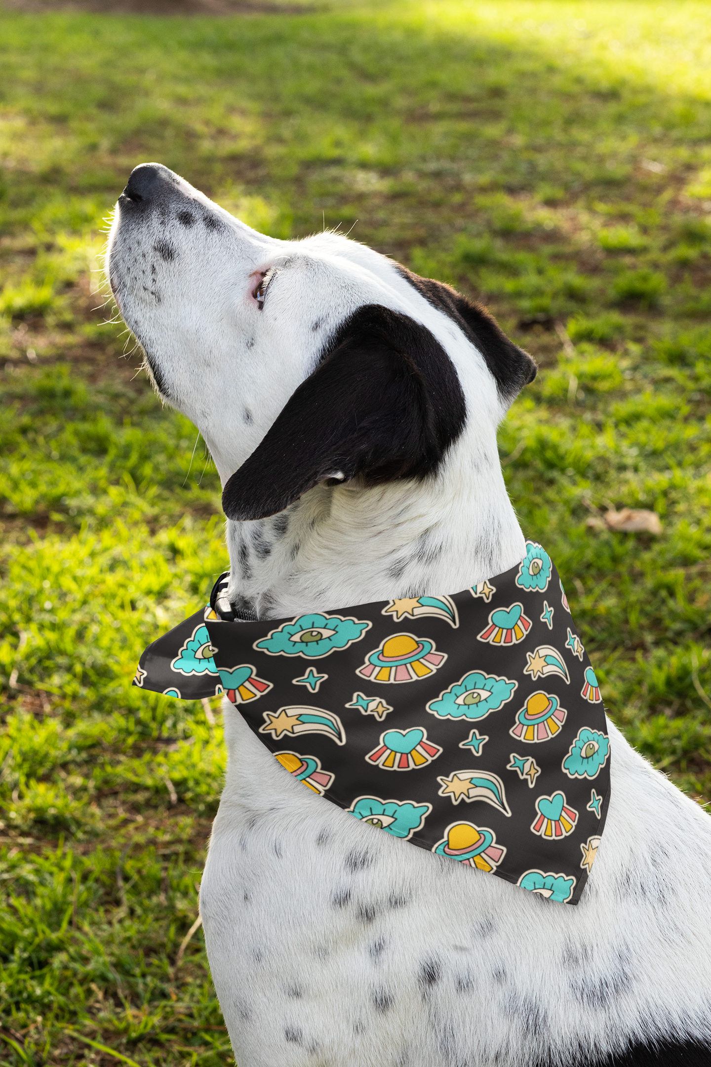 Cosmic love dog bandana mixed breed dog