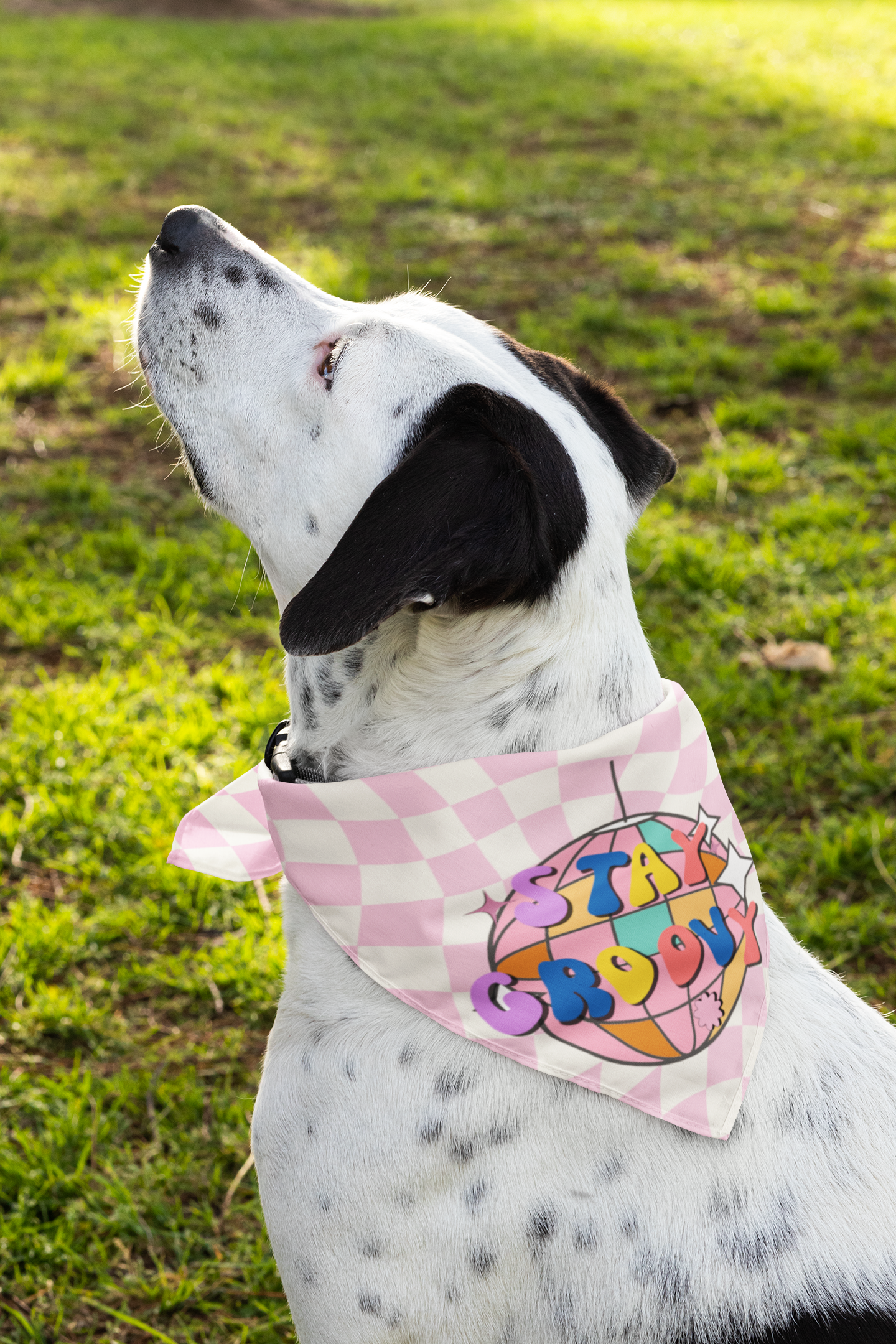 Stay groovy dog bandana cute dog