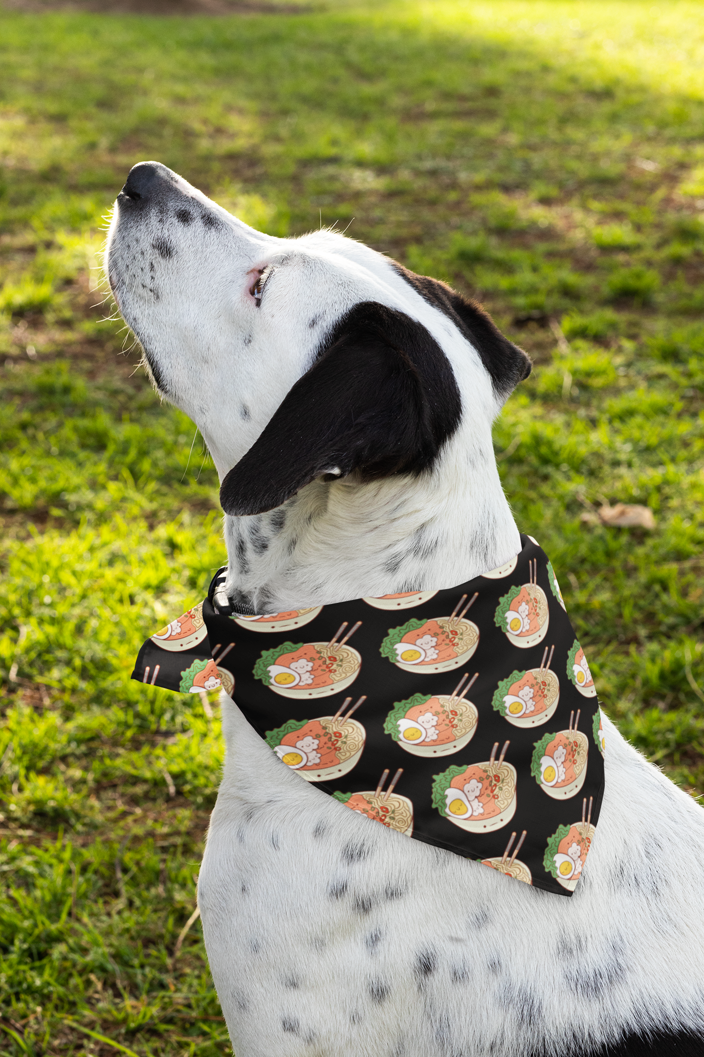 Anime dog bandana ramen mixed breed dog