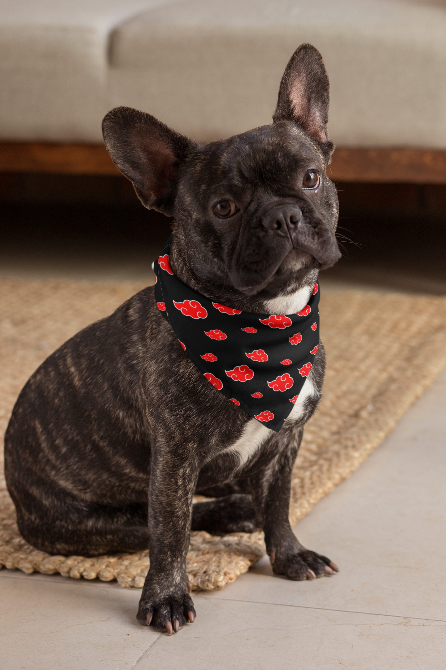 Anime dog bandana French bulldog