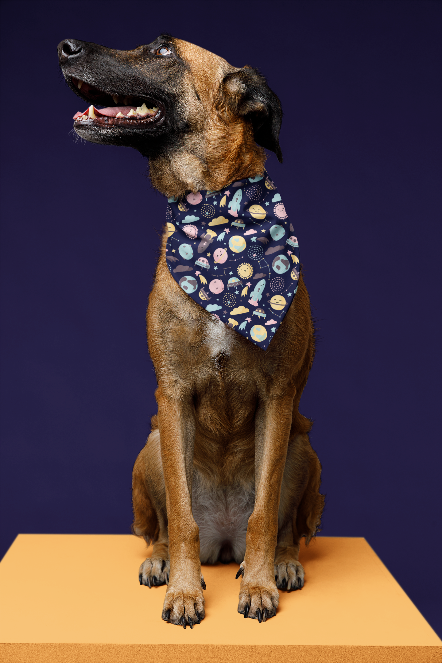 Space dog bandana big dog