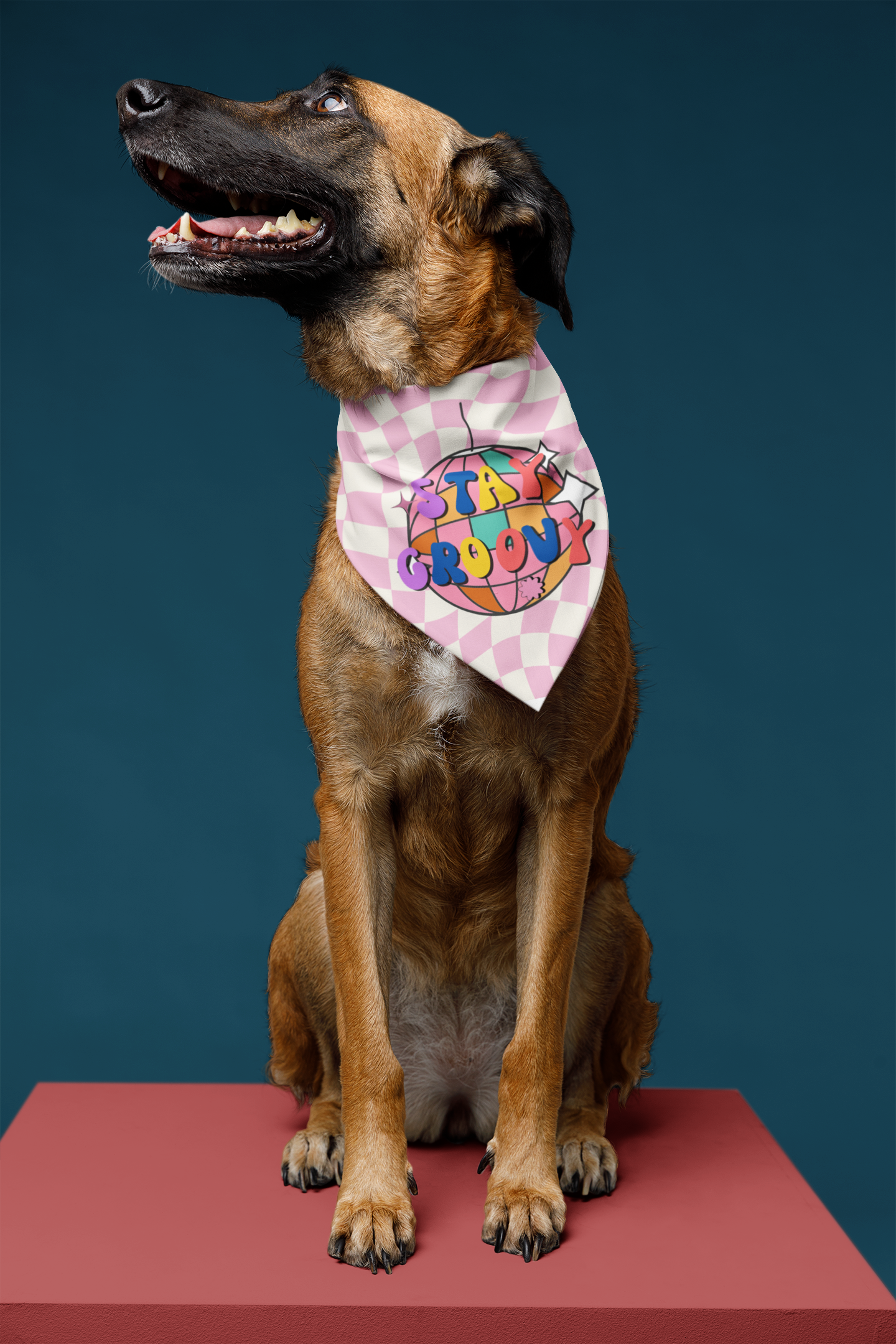 Stay groovy dog bandana smiling dog