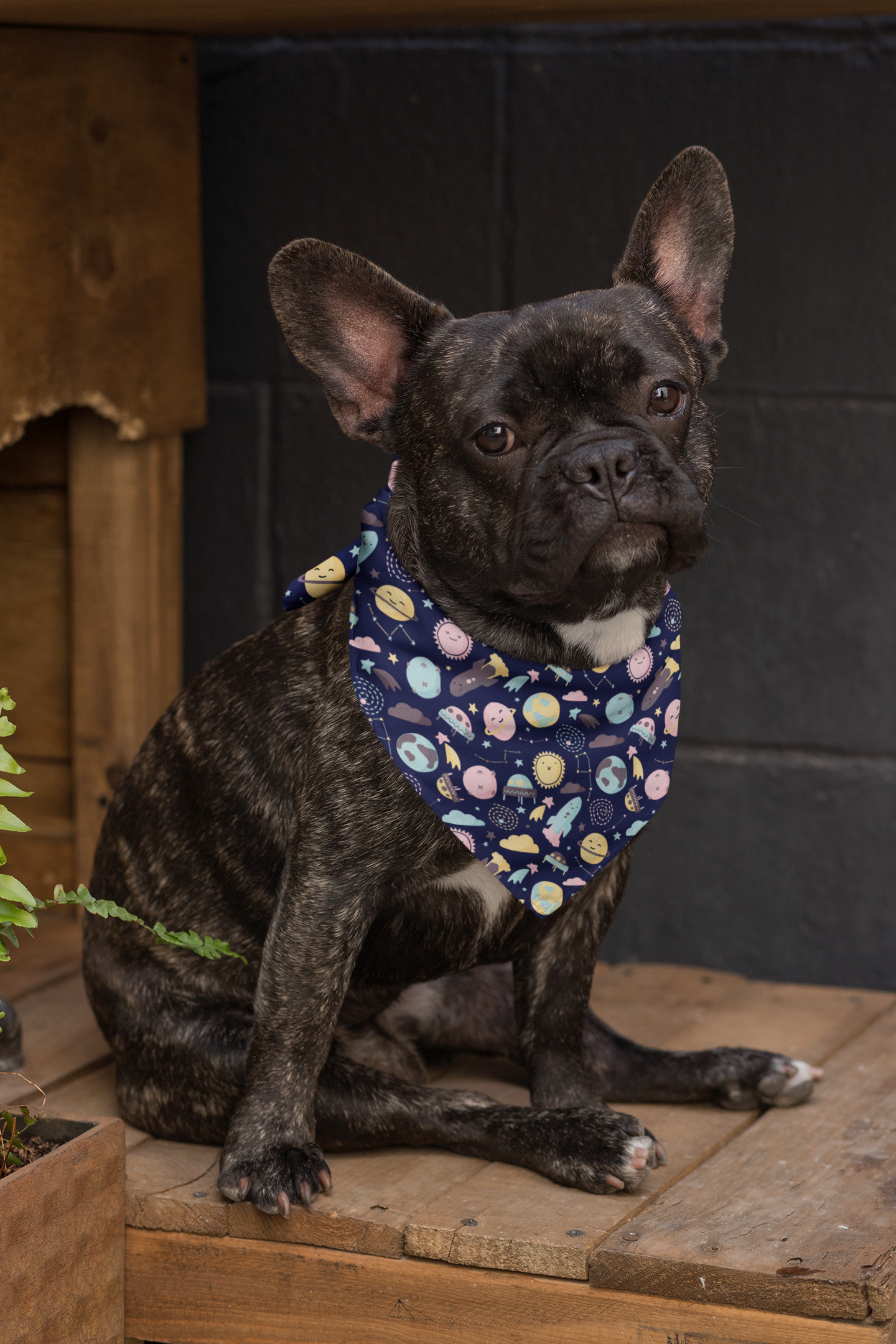 Space dog bandana small dog