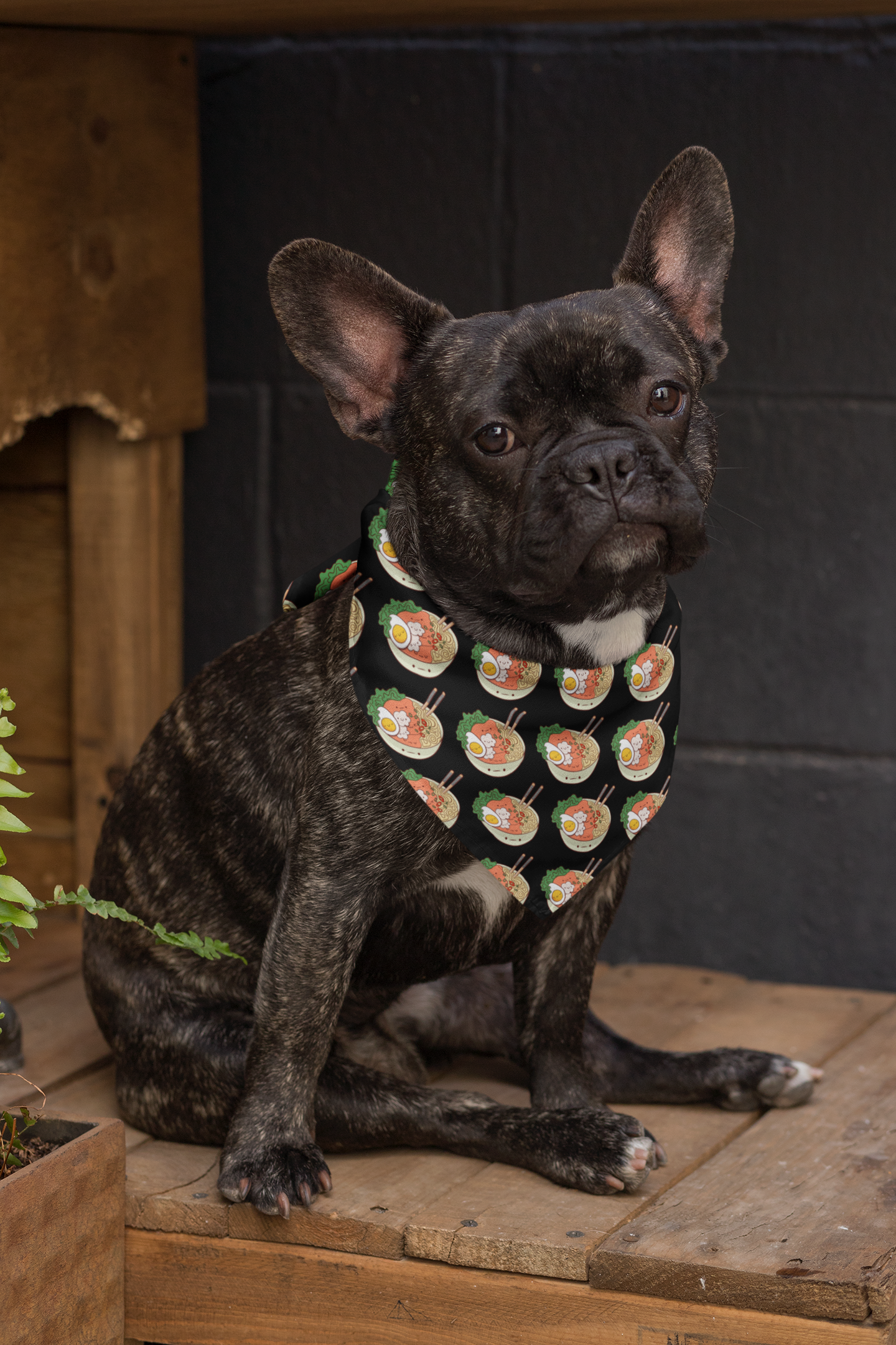 Anime dog bandana ramen French bull dog