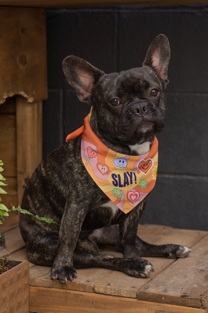 Slay dog bandana French bulldog