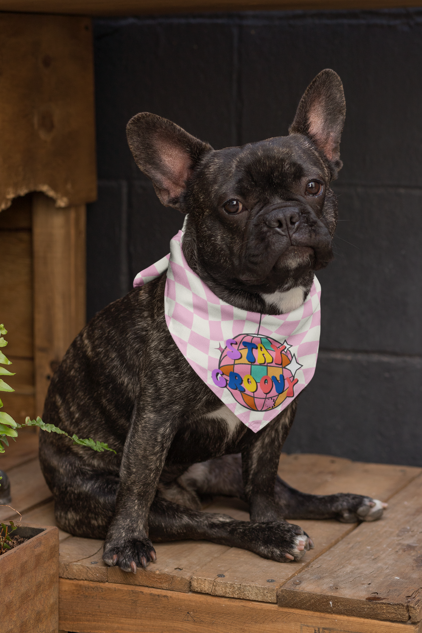 Stay groovy dog bandana small dog