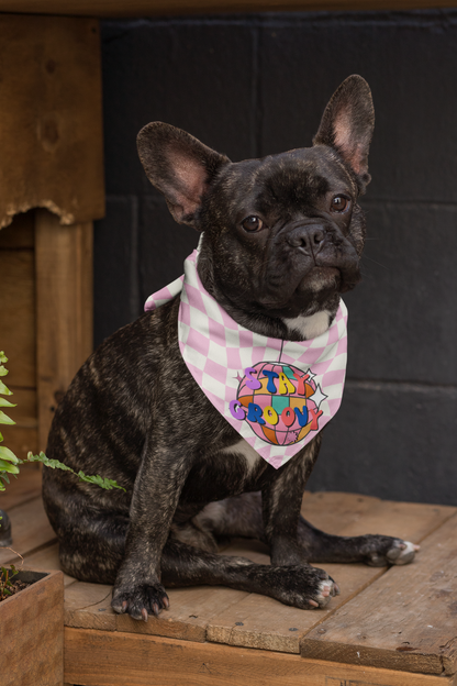 Stay groovy dog bandana small dog