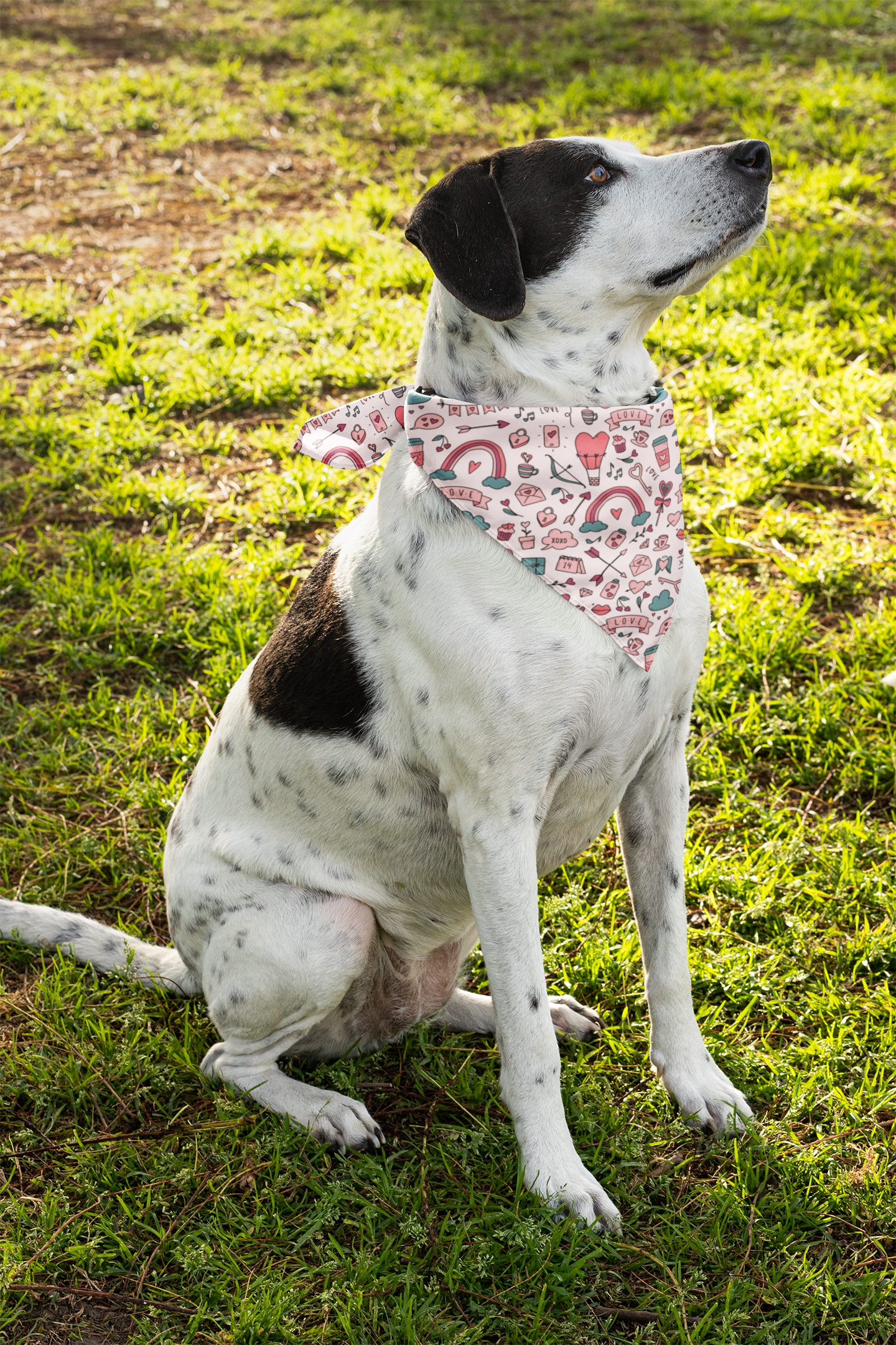 Cute Pet Bandana