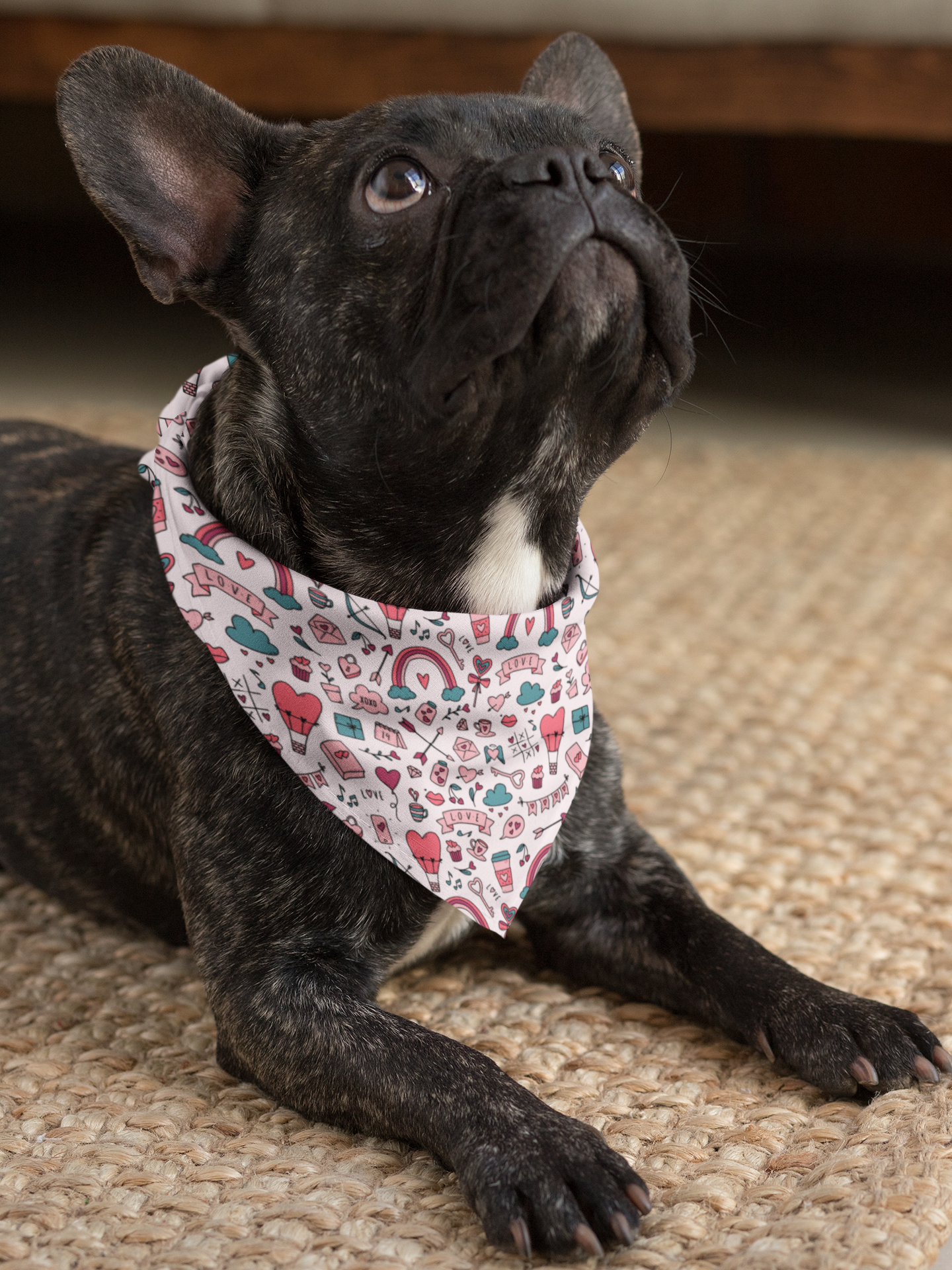 Cute Pet Bandana