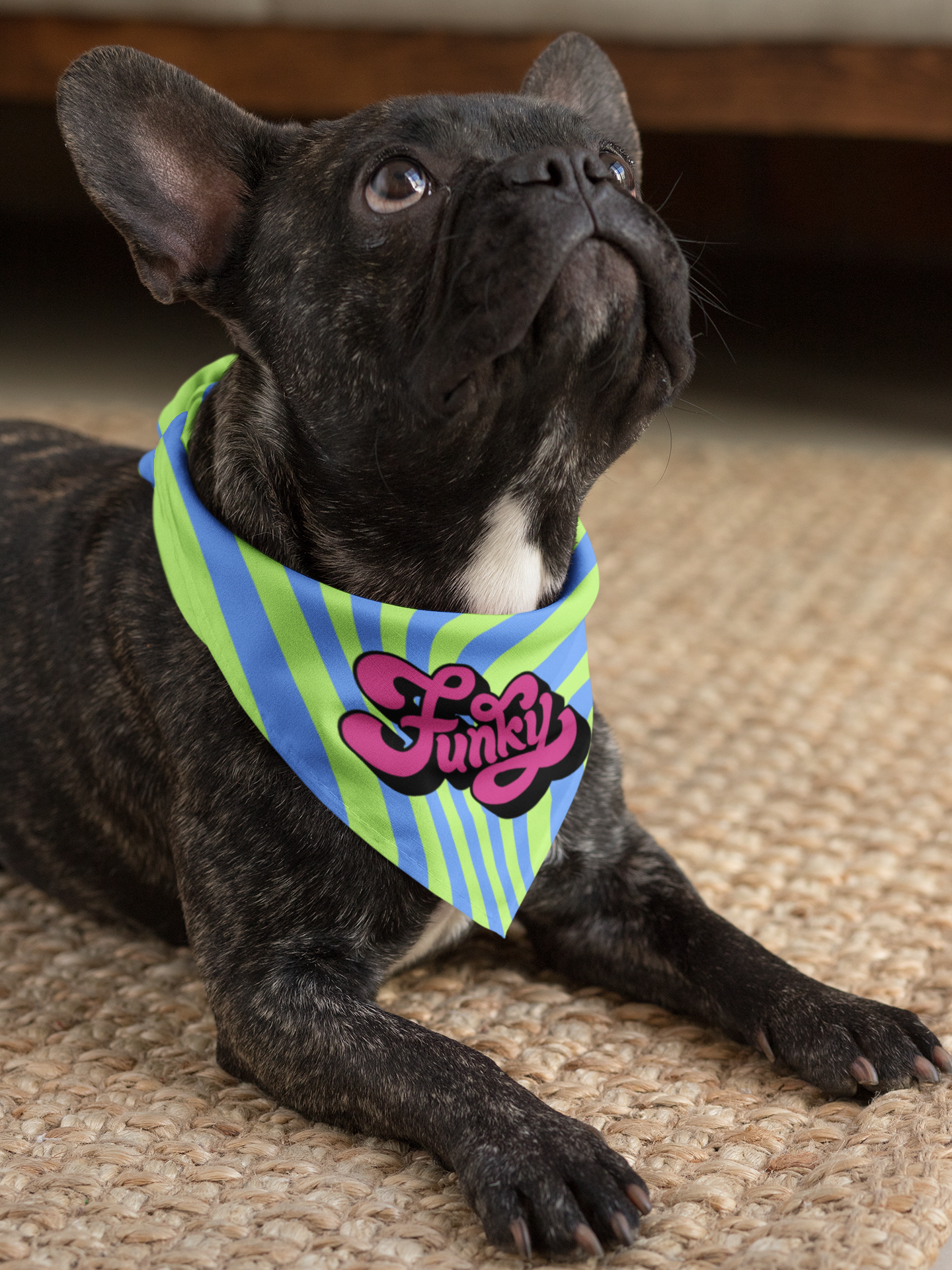 Funky dog bandana dog at home