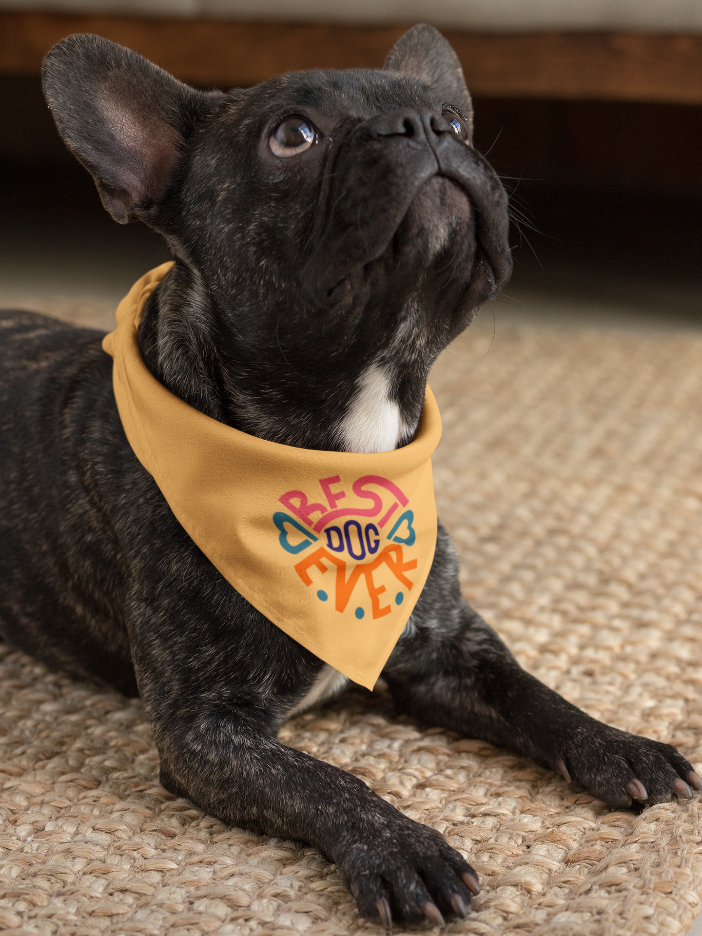 Best Dog Bandana