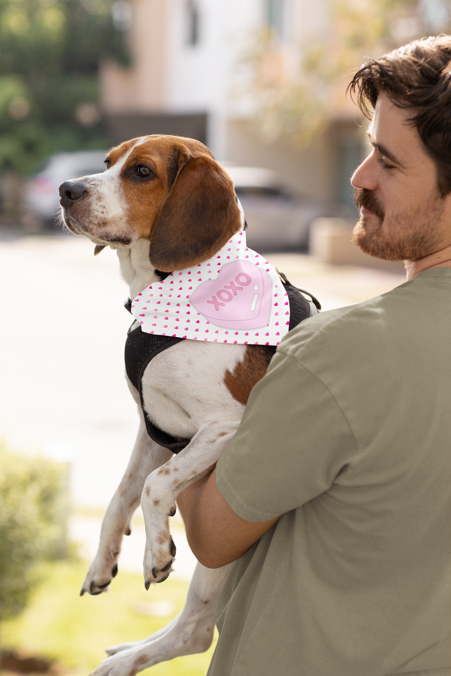 Cute Xoxo Pet Bandana