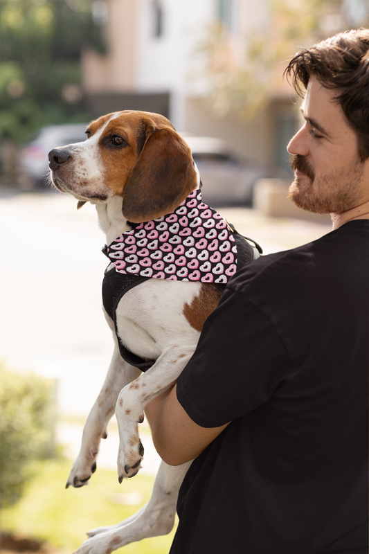 Dog Bandana 