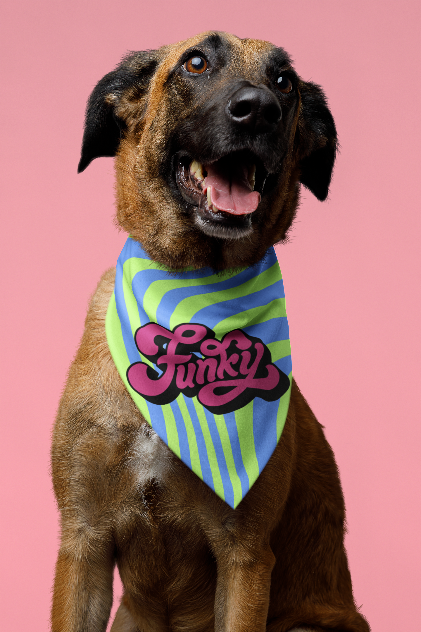 Funky dog bandana big dog breed