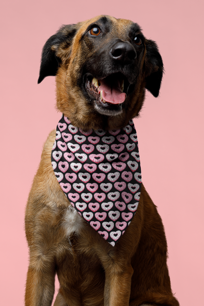 Cool Dog Bandana 