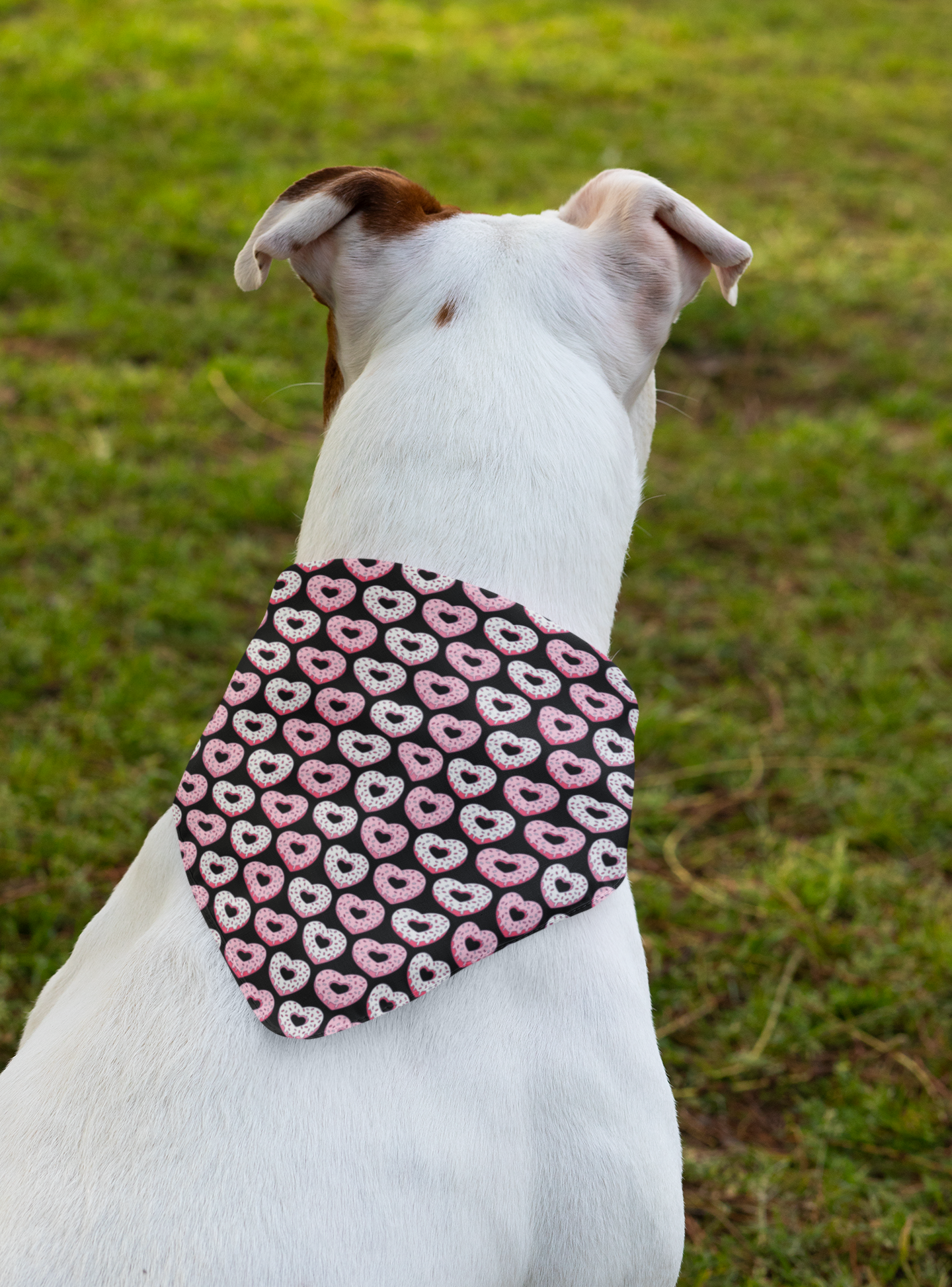 Cute Dog bandana 