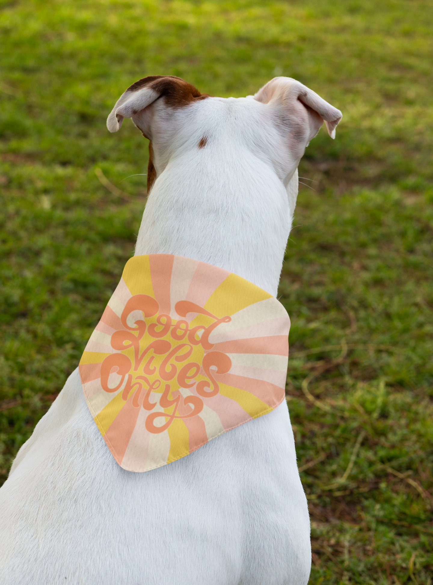 Good vibes only - dog bandana Pitbull