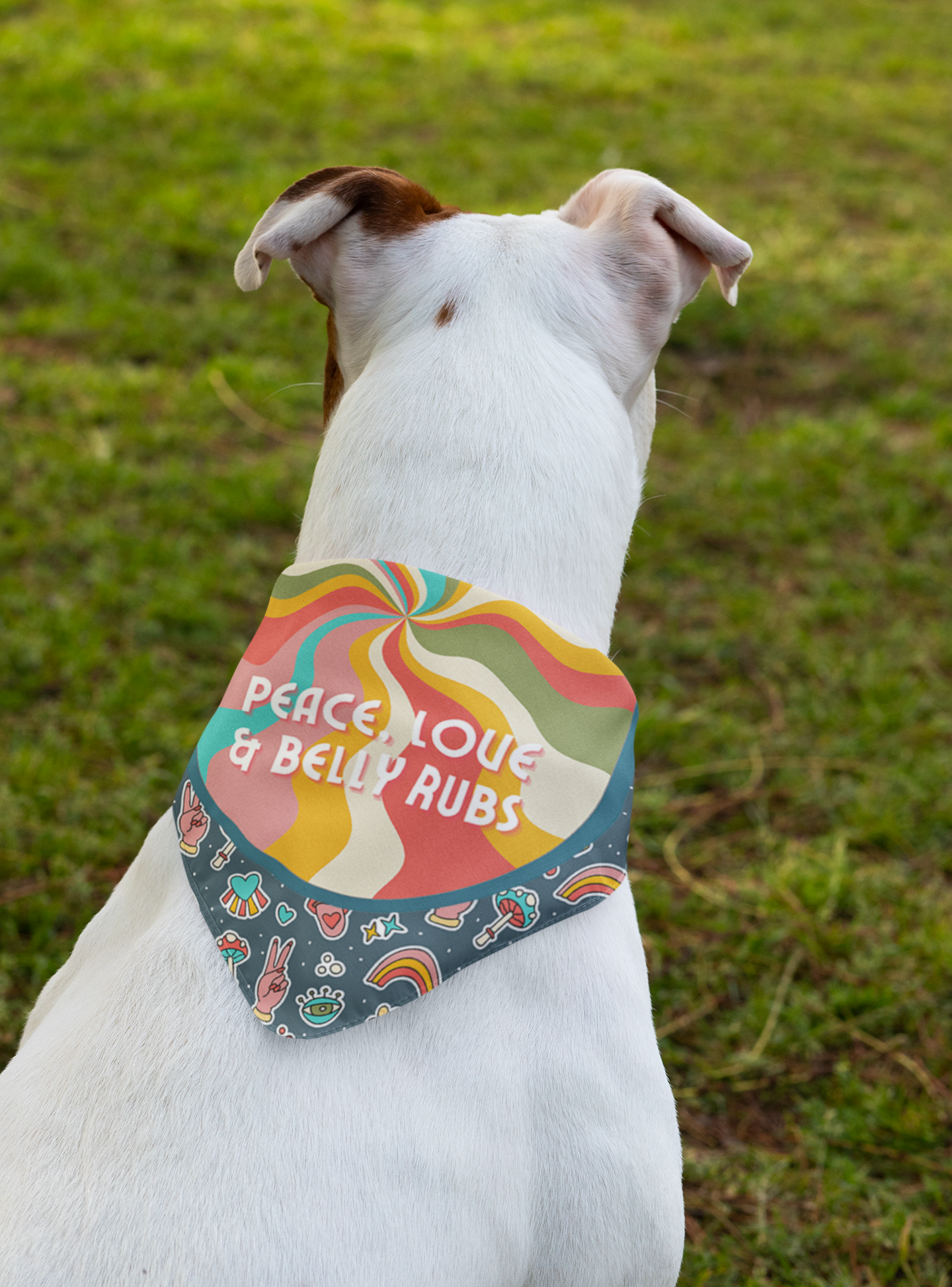 Peace love and belly rubs dog bandana dog photography 