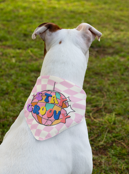 Stay groovy dog bandana mixed breed dog