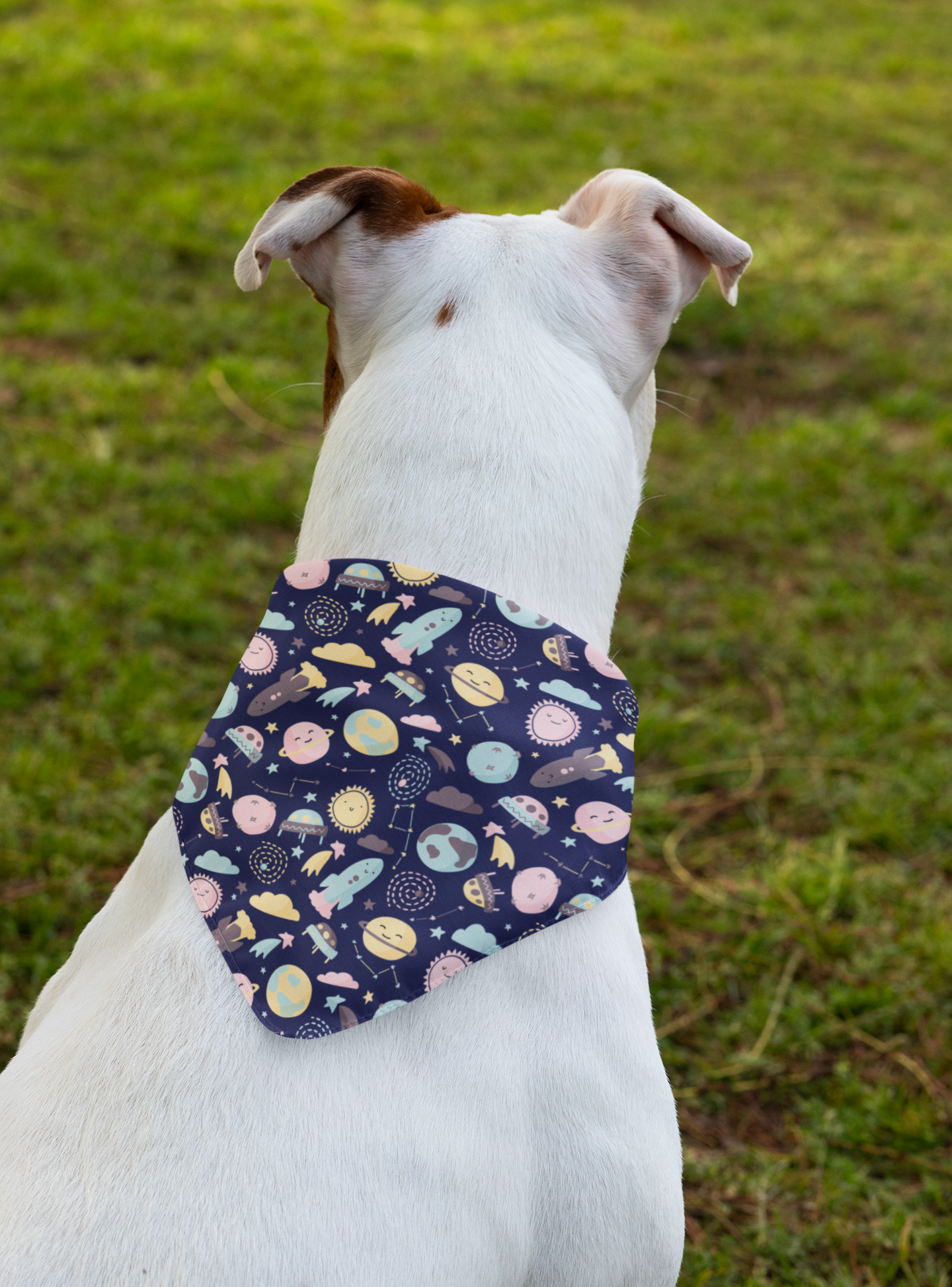 Space dog bandana medium size dog