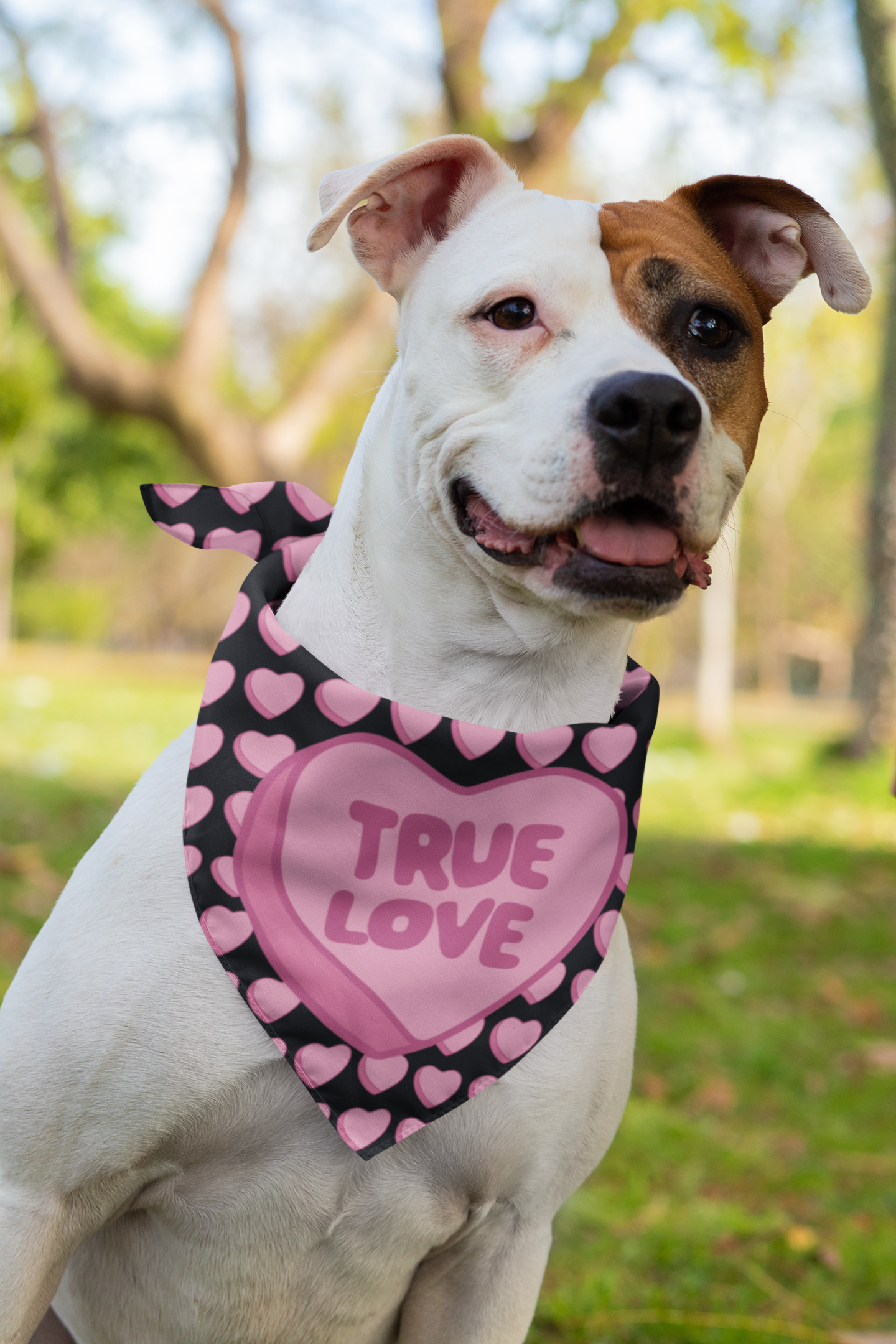 True Love Dog Bandanas 