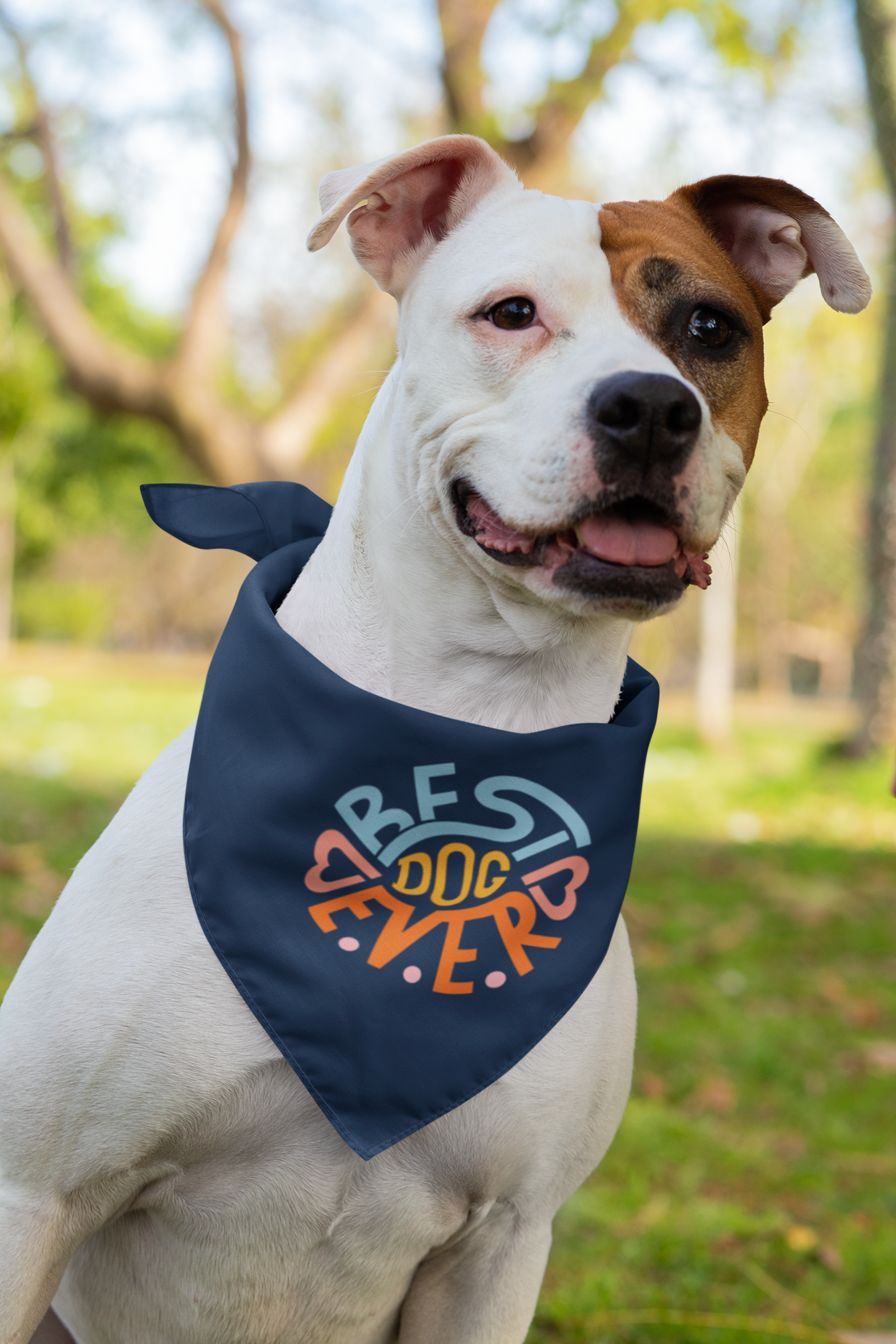 Best dog ever - dog bandana Boxer