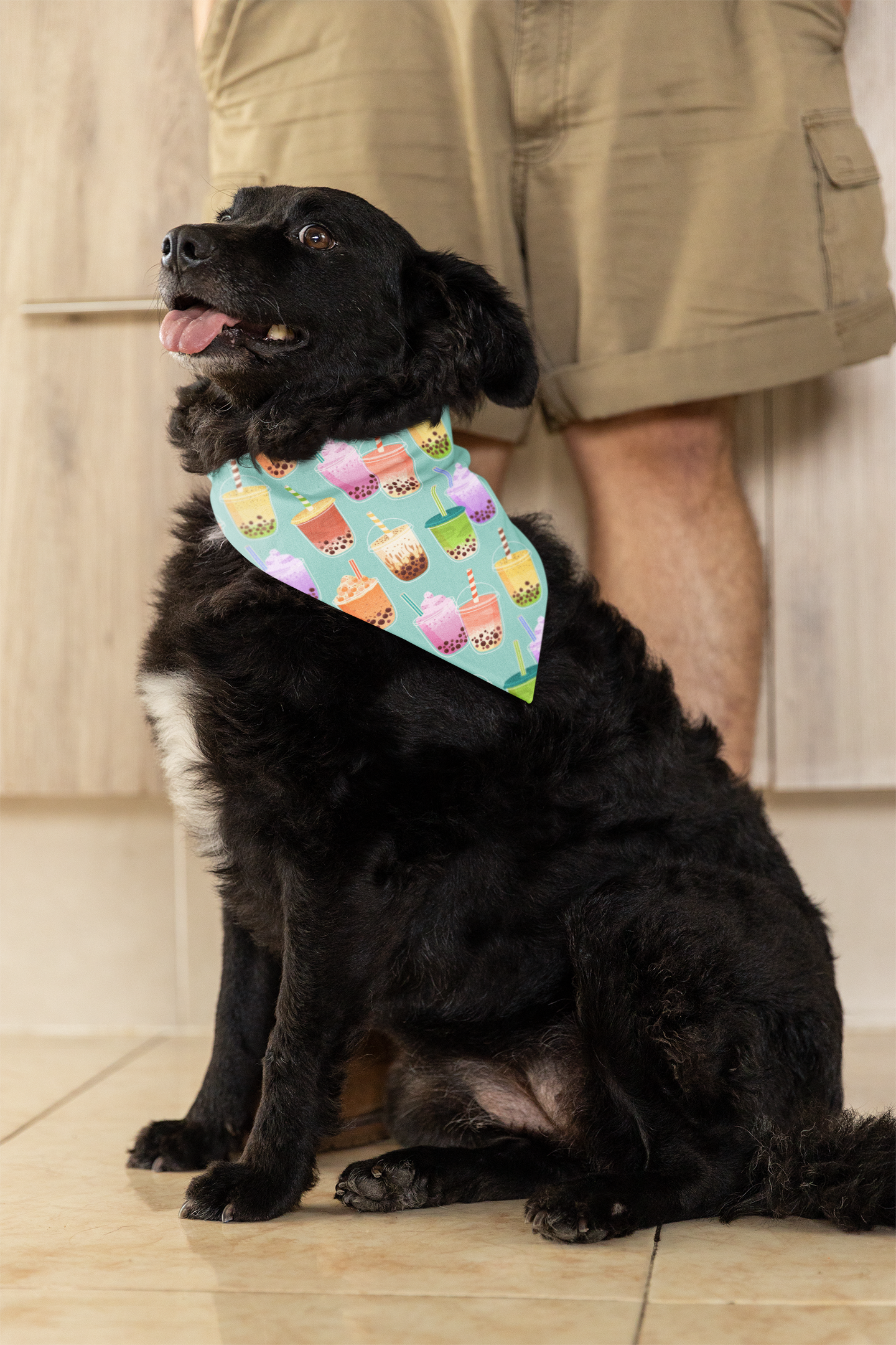 Boba tea - kawaii dog bandana border collie