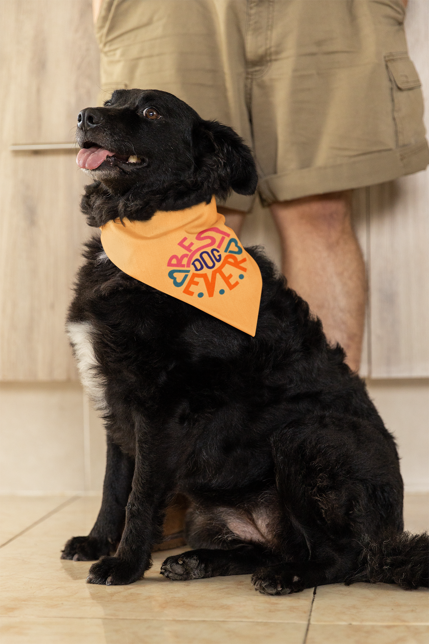 Best Dog Bandana